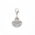 Charm coquille