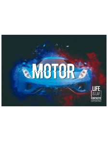 Box Conduce un Coche de Ensueño